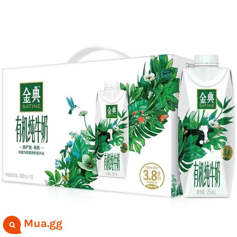 Hàng mới về vào tháng 11 Sữa nguyên chất Yili Jindian 250ml * 12 hộp/hộp đầy đủ sữa ăn sáng dinh dưỡng dành cho người lớn dành cho học sinh - [Sản xuất vào tháng 10] Jindian Organic Dream Cover 10 hộp