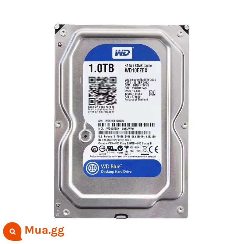 Máy tính để bàn đĩa xanh Western Digital (WD) 3,5 inch 500G 7200 vòng / phút ổ cứng máy tính ổ cứng HP - Phim truyền hình kỹ thuật số phương Tây [máy tính để bàn 3,5 inch] Đĩa xanh 1000G