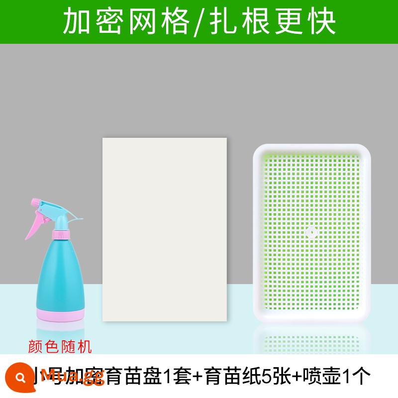 Đĩa ươm mầm rau thủy canh hộp tóc đậu phộng giá đỗ chậu đặc biệt trồng không cần đất trồng rau giá đỗ nảy mầm trồng trong chậu - 1 bộ giấy đựng ươm/giấy ươm cây con loại nhỏ