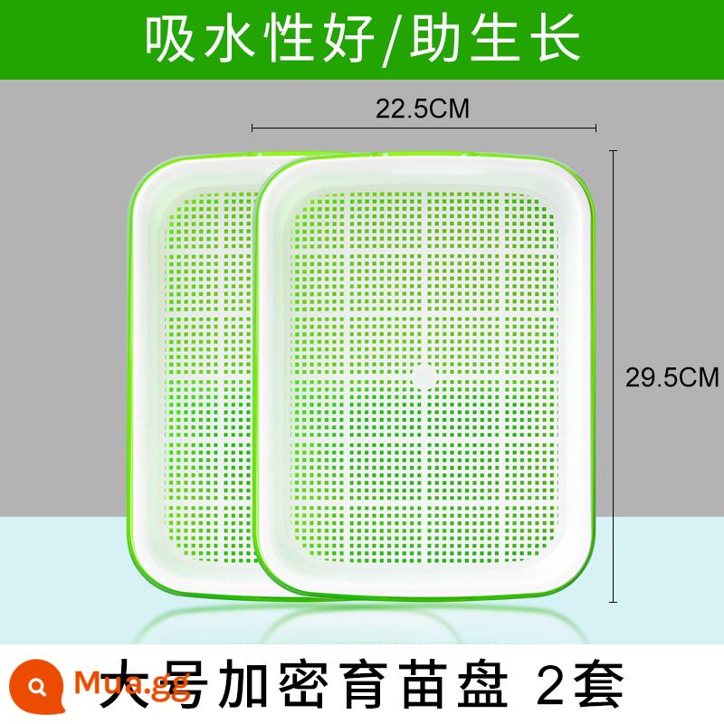 Đĩa ươm mầm rau thủy canh hộp tóc đậu phộng giá đỗ chậu đặc biệt trồng không cần đất trồng rau giá đỗ nảy mầm trồng trong chậu - Khay ươm mã hóa lớn 2 bộ