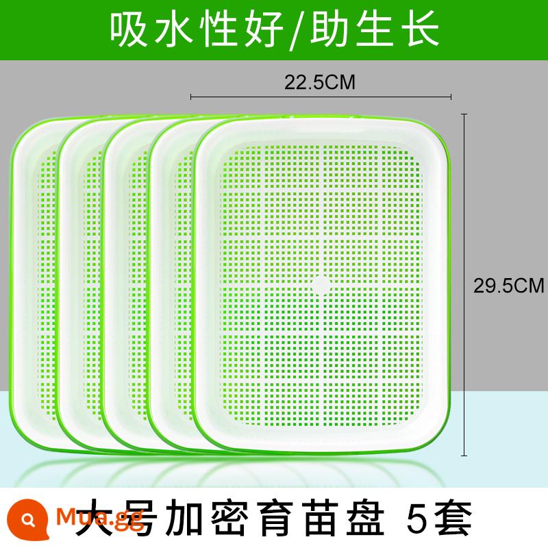 Đĩa ươm mầm rau thủy canh hộp tóc đậu phộng giá đỗ chậu đặc biệt trồng không cần đất trồng rau giá đỗ nảy mầm trồng trong chậu - Khay ươm mã hóa lớn 5 bộ