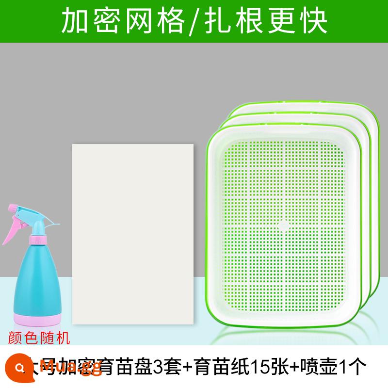 Đĩa ươm mầm rau thủy canh hộp tóc đậu phộng giá đỗ chậu đặc biệt trồng không cần đất trồng rau giá đỗ nảy mầm trồng trong chậu - 3 bộ khay ươm lớn-giấy ươm/bình tưới nước