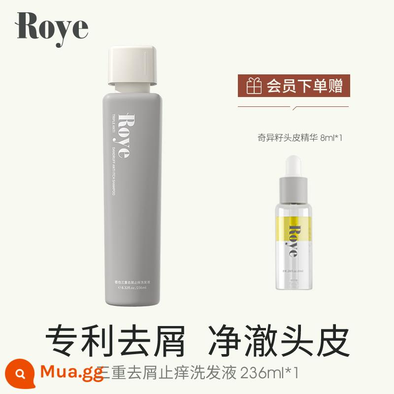 Dầu Gội Trị Gàu Bộ Ba Roye Ruoye Dầu Gội Artemisia Antipruritic Kiểm Soát Dầu Lông Tơ Phụ Nữ Mang Thai Trị Gàu - [Được cấp bằng sáng chế chống gàu] Dầu gội chống gàu và chống ngứa 236ml