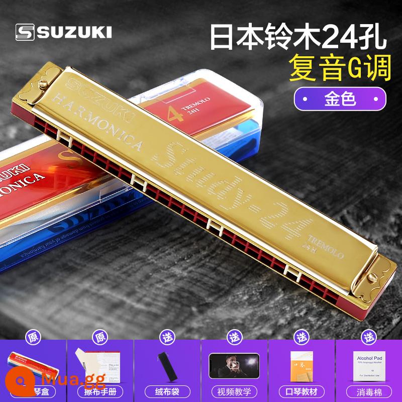 Nhập khẩu chính hãng của Nhật Bản SUZUKI Suzuki harmonica 24 lỗ đa âm C-tune giọng chơi chuyên nghiệp dành cho người lớn mới bắt đầu - Phím G đa âm vàng 24 lỗ + trọn bộ quà tặng