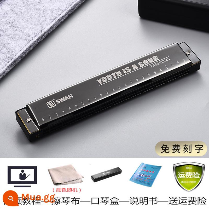 Kèn harmonica thiên nga cho người mới bắt đầu nhập học 24 lỗ đa âm C harmonica học sinh tiểu học thực hành đặc biệt kèn harmonica - Đa âm 24 lỗ Starlight Black + 6 quà tặng học tập