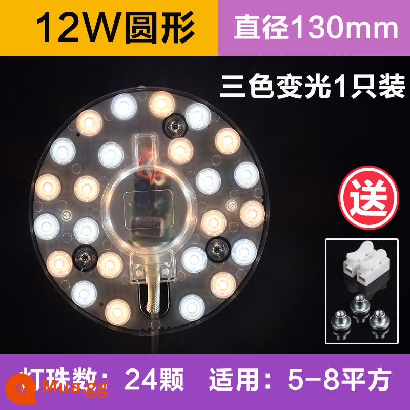 Đèn LED Ốp Trần Bấc Tròn Siêu Sáng Chuyển Đổi Nguồn Sáng Thay Thế Phòng Ngủ Bấc Đèn Bảng Tiết Kiệm Năng Lượng Đèn Vòng Mô Đun - Đèn highlight tròn 12W + ba màu