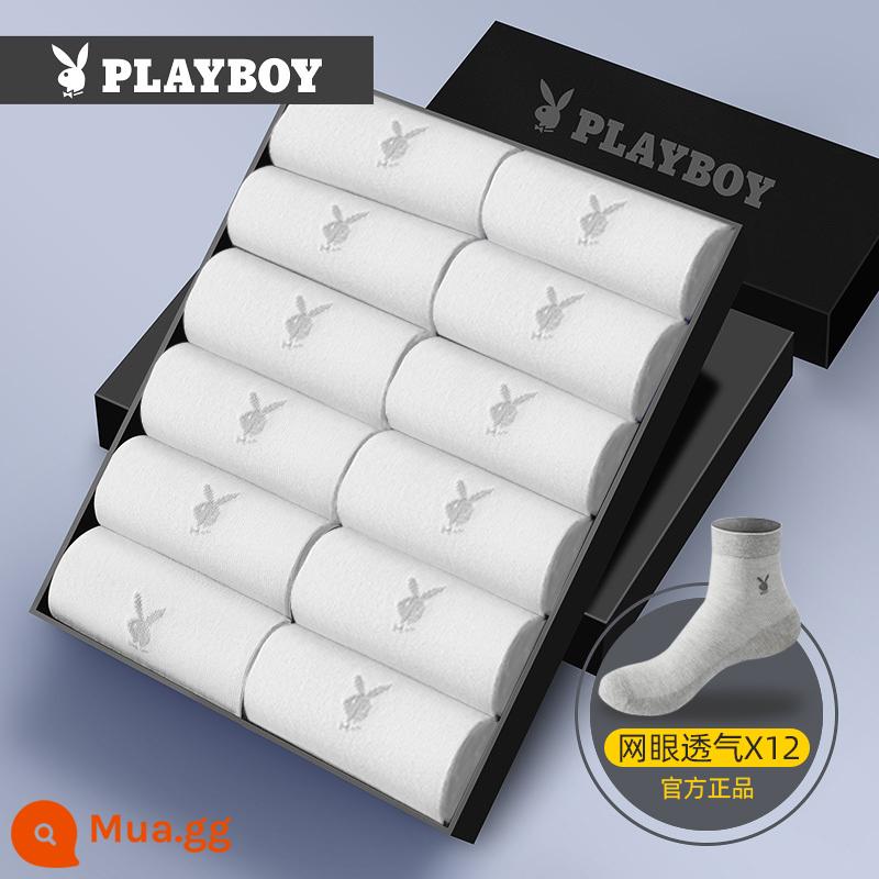 Vớ Nam Playboy Nam Mùa Thu Đông Cotton Nguyên Chất Thấm Hút Mồ Hôi Vớ Ống Giữa Vớ Cotton Bé Trai Vớ Nam - [Lưới xuân thu thoáng khí] Mười hai màu trắng