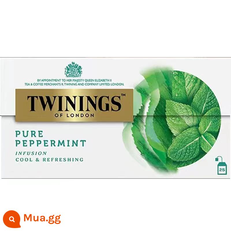 Twinings Tangning Qin trà thảo mộc lá bạc hà mới 25 gói túi trà đóng hộp trà bong bóng nóng nhập khẩu nguyên bản - bạc hà tươi