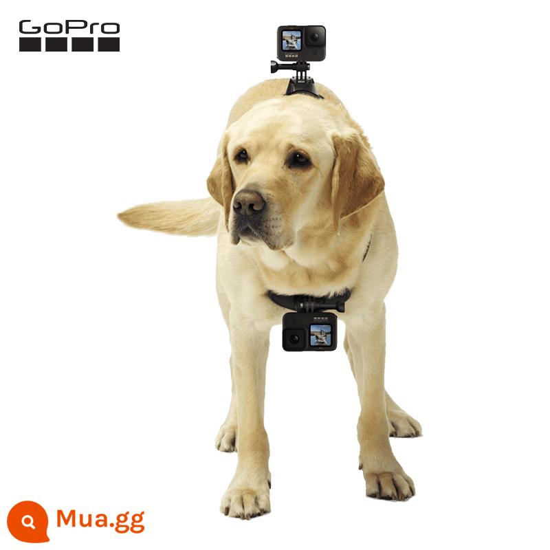 Phụ kiện GoPro Fetch Dog Pet Dây đeo máy ảnh - Tìm về