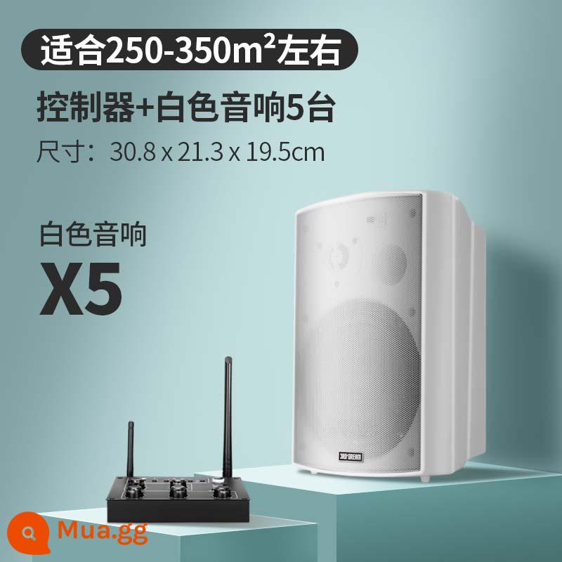 Âm thanh không dây treo tường Loa Bluetooth dành riêng cho cửa hàng bao quanh phòng ăn thanh thương mại phòng khiêu vũ phòng hội nghị - Bộ điều khiển nâng cấp + 5 loa màu trắng