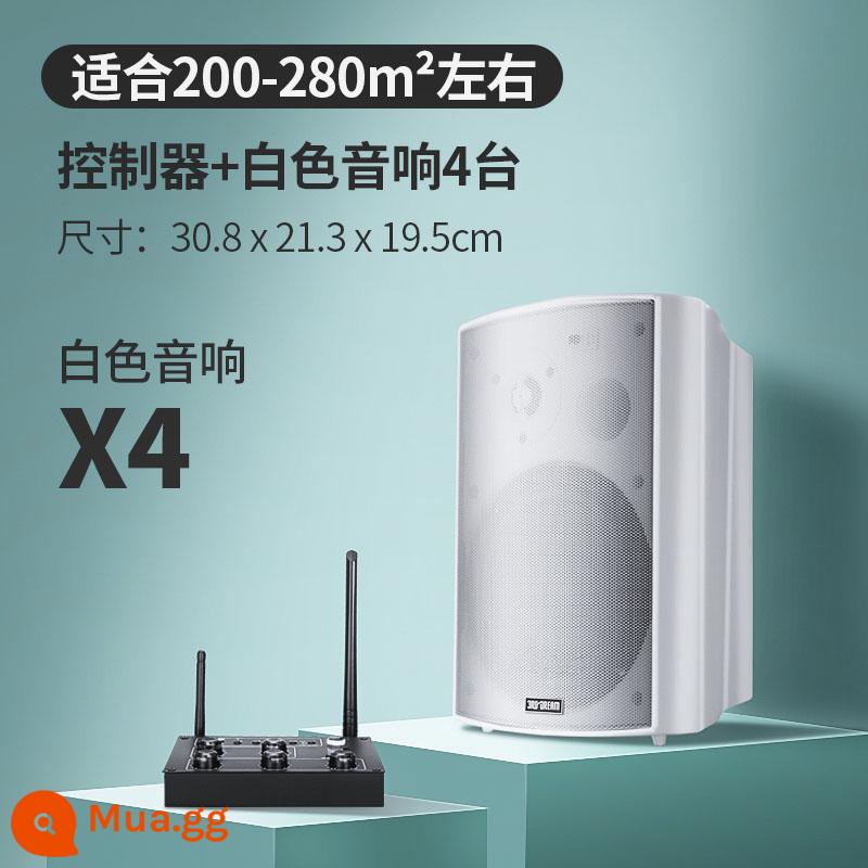 Âm thanh không dây treo tường Loa Bluetooth dành riêng cho cửa hàng bao quanh phòng ăn thanh thương mại phòng khiêu vũ phòng hội nghị - Bộ điều khiển nâng cấp + 4 loa màu trắng