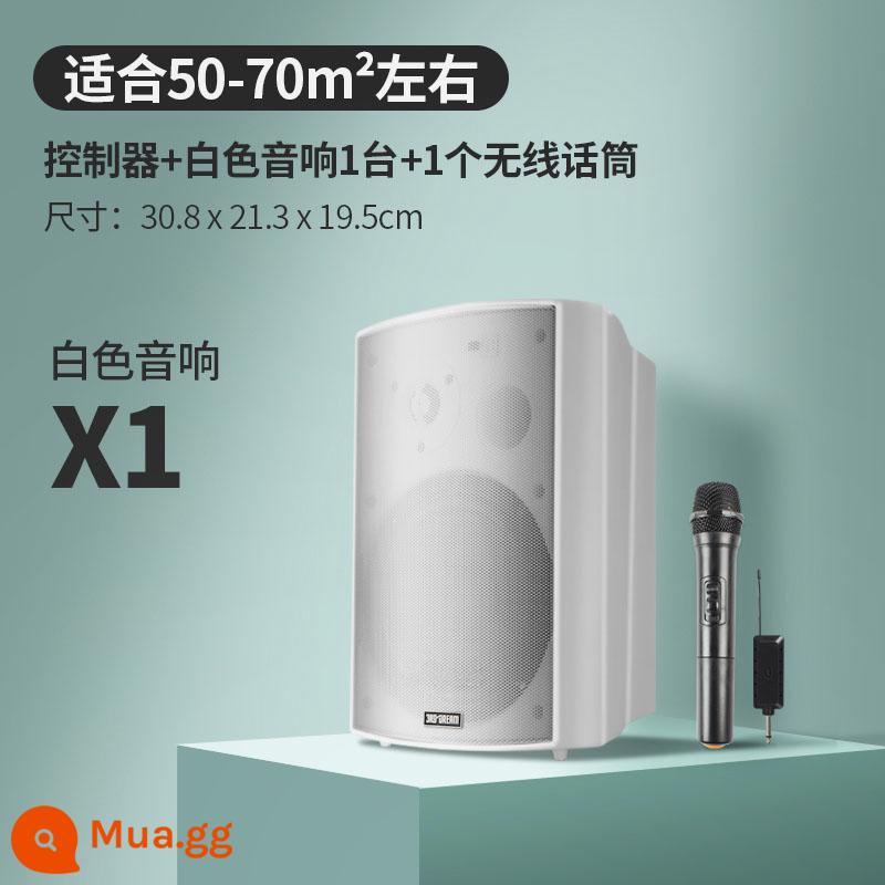 Âm thanh không dây treo tường Loa Bluetooth dành riêng cho cửa hàng bao quanh phòng ăn thanh thương mại phòng khiêu vũ phòng hội nghị - Bộ điều khiển nâng cấp + 1 loa trắng + 1 micro