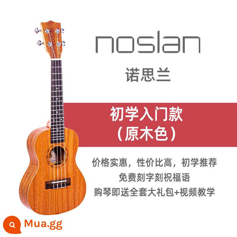 Đàn Ukulele Noslan dành cho nữ mới bắt đầu chính thức dành cho người mới bắt đầu Cửa hàng đàn guitar nhỏ cao cấp 23 inch dành cho trẻ em - Mẫu máy cấp thấp 23 inch dành cho người mới bắt đầu—gói quà tặng [hiệu suất chi phí cao]