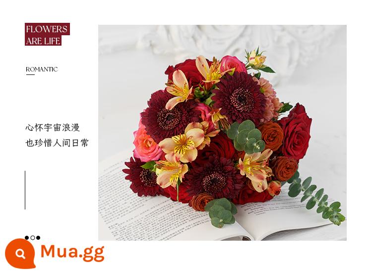 9.9 Miễn Phí Vận Chuyển Tươi Vân Nam Tóc Thẳng Hoa Hồng Nước Hoa Lily Bán Buôn Bình Hoa Hướng Dương Cắm Hoa Hộ Gia Đình Thủy Canh - Hoa đến rồi đi (SF Express) SF Express