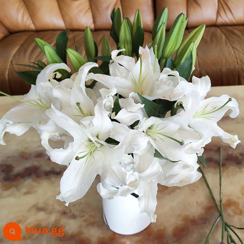 9.9 Miễn Phí Vận Chuyển Tươi Vân Nam Tóc Thẳng Hoa Hồng Nước Hoa Lily Bán Buôn Bình Hoa Hướng Dương Cắm Hoa Hộ Gia Đình Thủy Canh - 10 bông hoa huệ trắng SF Express