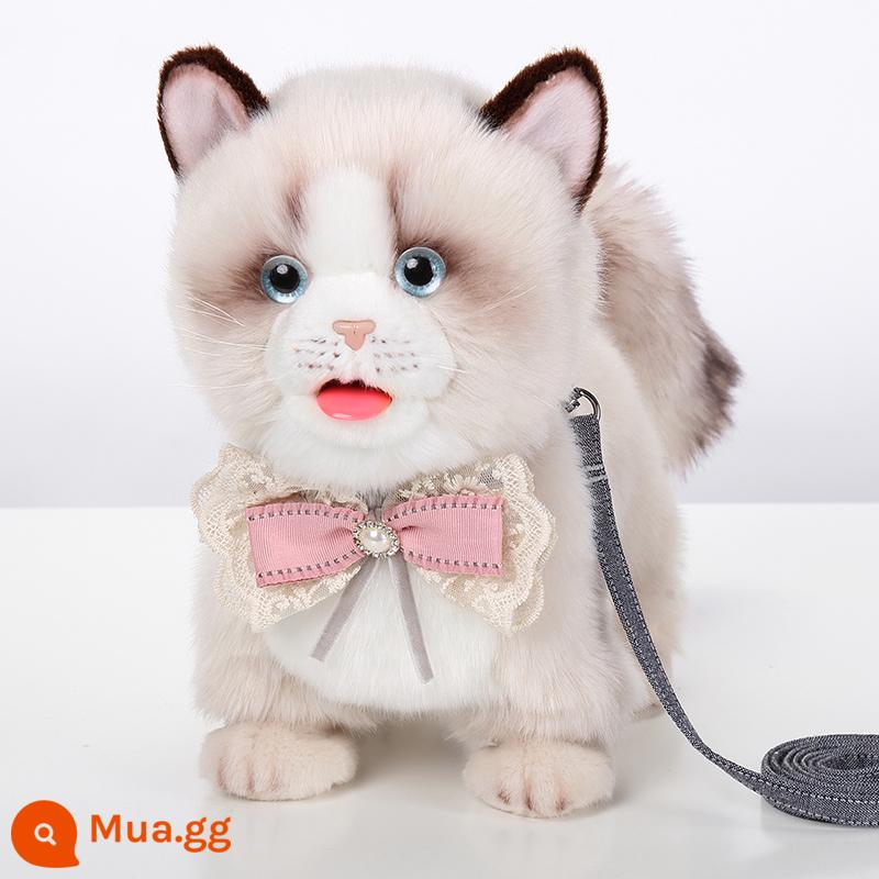 Uống sữa liếm mèo, mèo, mô phỏng mèo - Mèo Ragdoll + Thắt nơ đính ngọc trai có dây