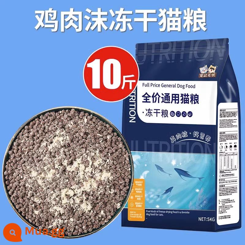 Thức ăn đông khô cho mèo 10 con đóng gói thành mèo 5kg mèo con nguyên thịt vỗ béo dinh dưỡng lông mang nguyên giá 20 bịch lớn loại phổ thông - Thức ăn cho mèo đông khô dạng bột gà [10 catties]