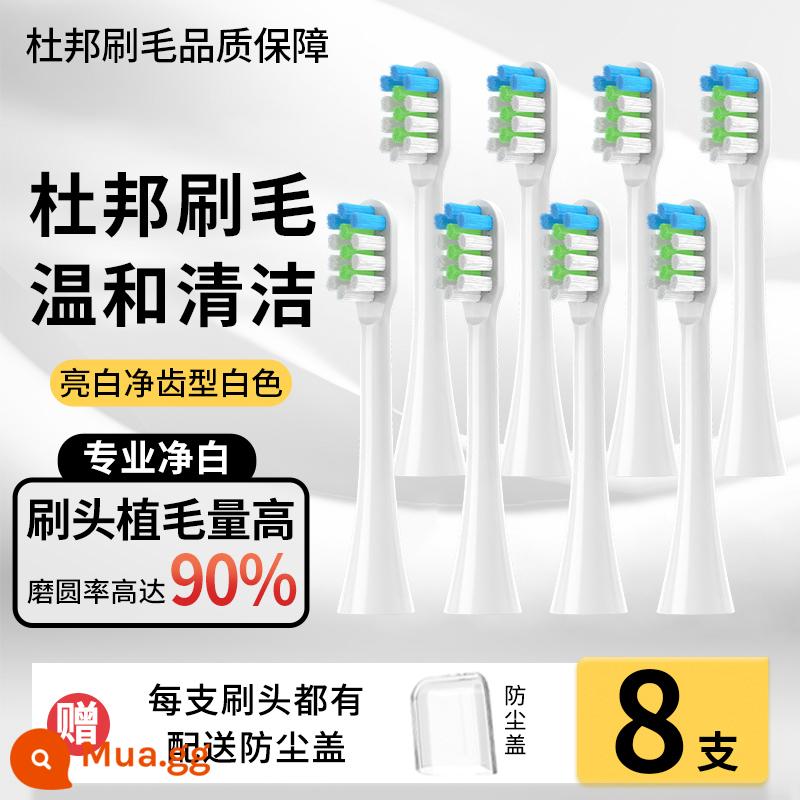 Thích hợp cho bàn chải đánh răng điện Đầu bàn chải LMN của Đức L1L2L1-TZ đầu bàn chải màu trắng chắc chắn Đầu bàn chải thay thế đa năng Curtis - Model tiêu chuẩn màu trắng 8 miếng (phù hợp với bàn chải đánh răng điện LMN của Đức)