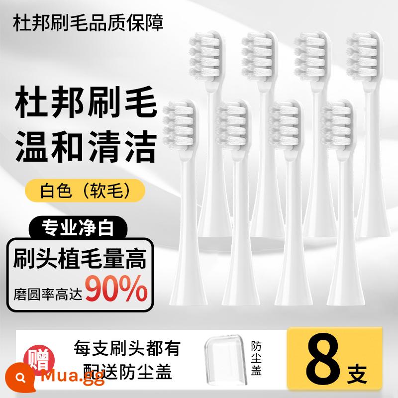 Thích hợp cho bàn chải đánh răng điện Đầu bàn chải LMN của Đức L1L2L1-TZ đầu bàn chải màu trắng chắc chắn Đầu bàn chải thay thế đa năng Curtis - [Loại bảo vệ nướu mềm] Trắng 8 gói