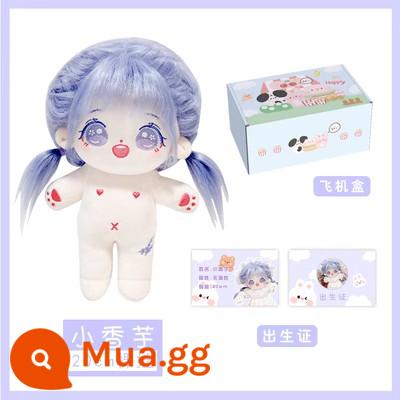 Chính Hãng 20Cm Điểm Búp Bê Bông Tóc Xoăn Búp Bê Khỏa Thân Có Thể Mặc Đồ Sang Trọng Búp Bê Đồ Chơi Làm Quà Tặng Cho Bạn Gái - (Chủ yếu đề nghị) Em bé khỏa thân Xiaoxiangtao (kèm theo giấy khai sinh + thùng carton phẳng)