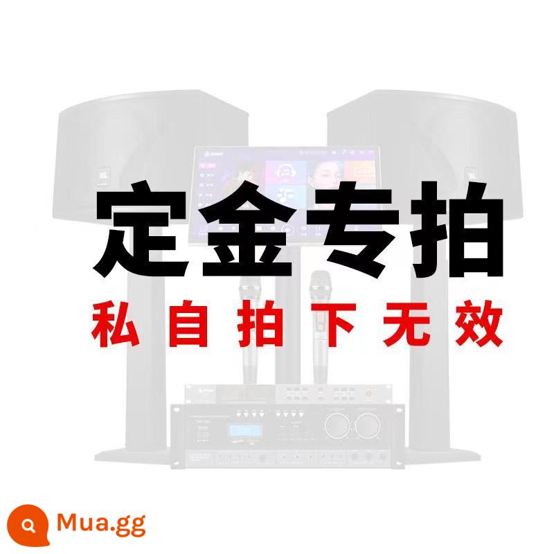 Bộ âm thanh JBL Pasion home KTV hát karaoke card túi loa hát máy thanh sân khấu - [10 inch thương mại chuyên nghiệp phiên bản 2.0] JBL Pasion10*2 + bộ khuếch đại công suất PRF của Đức + micro PRF + máy karaoke