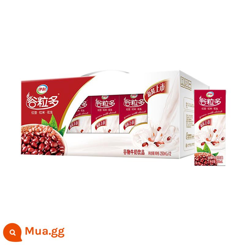 Sản xuất tháng 12 Yili ngũ cốc nhiều sữa thung lũng đỏ thung lũng đen hương vị đậu đỏ yến mạch sữa 250ml * 12 hộp 16 hộp - [Sản xuất vào tháng 12] Ngũ cốc đỏ giàu hạt 250ml*12