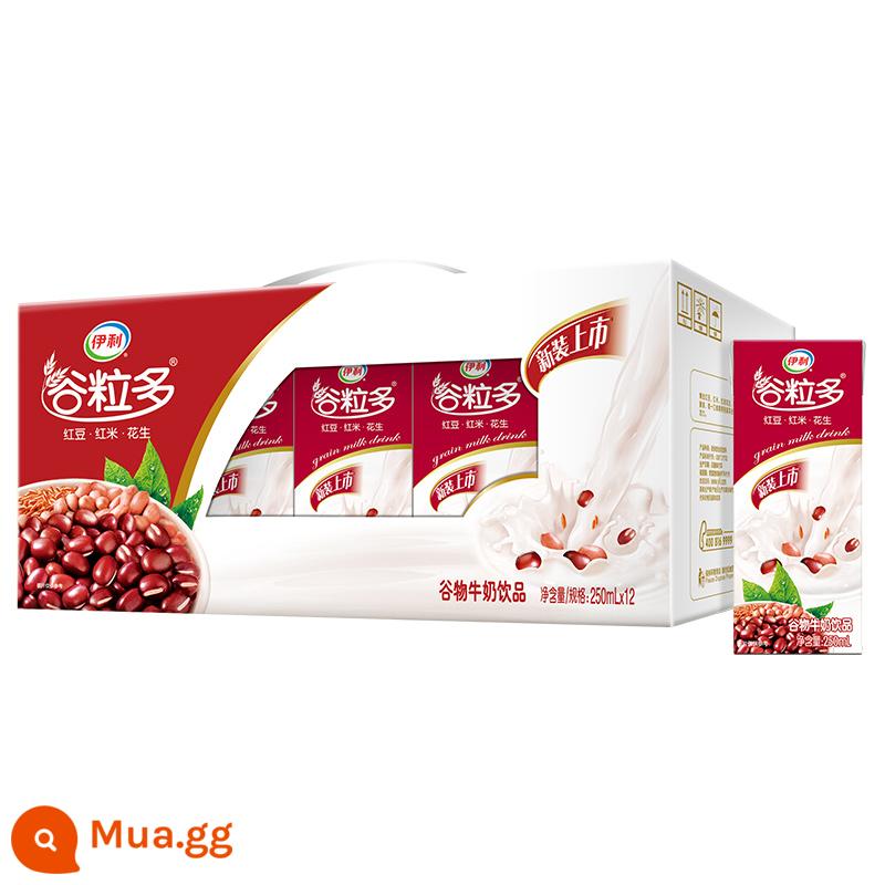 Sản xuất tháng 12 Yili ngũ cốc nhiều sữa thung lũng đỏ thung lũng đen hương vị đậu đỏ yến mạch sữa 250ml * 12 hộp 16 hộp - [Sản xuất vào tháng 11] Ngũ cốc đỏ giàu hạt 250ml*12