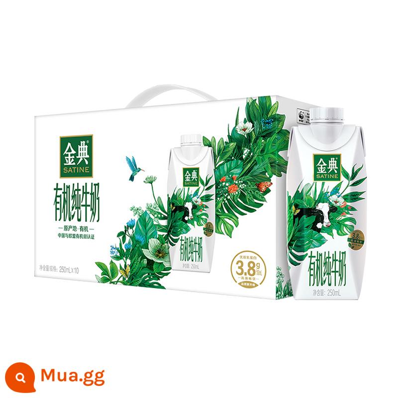 Tháng 11 Sữa Yili Sữa nguyên chất Jindian 250ml*12 hộp 24 hộp ml đóng gạch vô trùng cho người lớn và trẻ em ăn sáng - [Sản xuất vào tháng 11] Sữa nguyên chất hữu cơ Jindian Dream Cap 250ml * 10 hộp