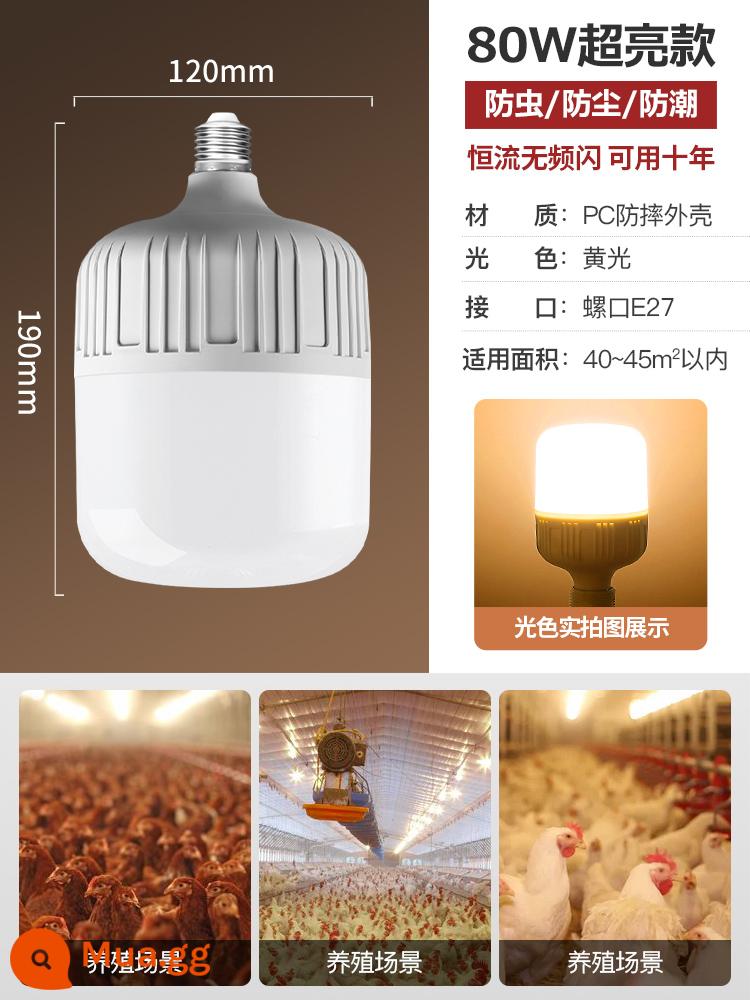 Đèn chiếu sáng dành riêng cho trang trại Đèn LED ánh sáng ấm áp e27 ren vít ánh sáng vàng trang trại gà điền vào bóng đèn tiết kiệm năng lượng - Dòng điện siêu sáng không đổi model-Đèn ấm 80W-Cổng vít E27