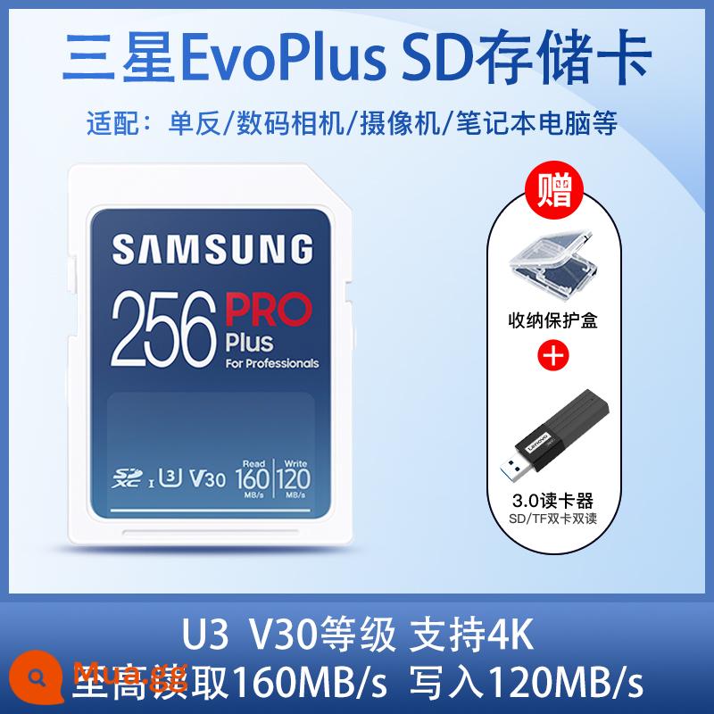 Thẻ nhớ sd samsung thẻ nhớ 128g camera 1 mắt siêu nhỏ chống camera class10 thẻ nhớ tốc độ cao thẻ sd sony canon - 256G (160M/s) + đầu đọc thẻ đa năng USB2.0