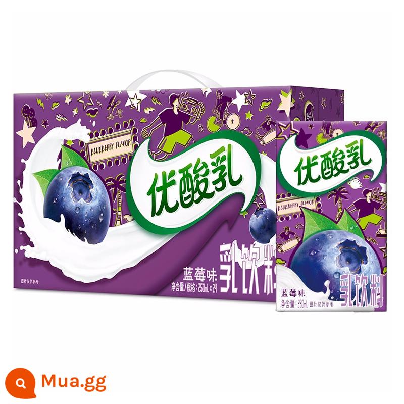 Sữa chua Yili AD Canxi Nguyên chất Dâu Việt quất 250ml*24 Hộp Sữa FCL Thức uống Sữa dành cho Người lớn dành cho Học sinh - Sữa chua việt quất Oct 250ml*24 hộp