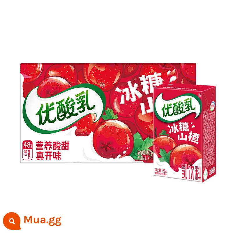 Sữa chua Yili AD Canxi Nguyên chất Dâu Việt quất 250ml*24 Hộp Sữa FCL Thức uống Sữa dành cho Người lớn dành cho Học sinh - Sữa Chua Đường Đá Táo Gai Tháng 10 250ml*24 hộp