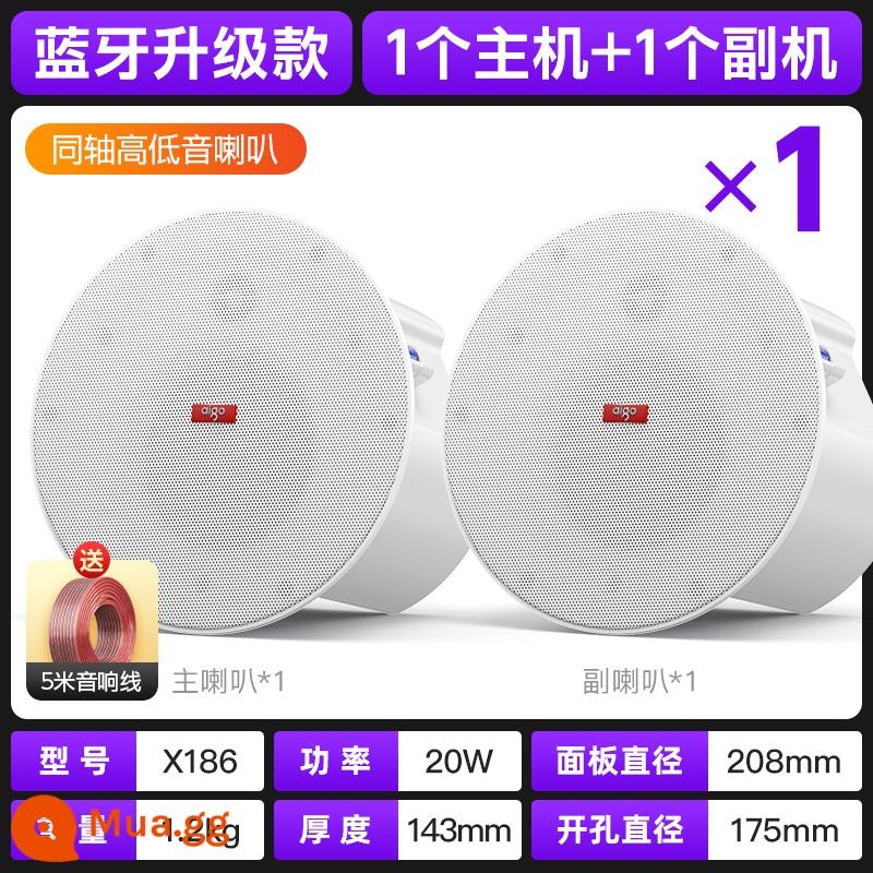 Loa trần Bluetooth không dây Patriot Cửa hàng loa âm thanh nhúng đặc biệt Siêu thị thương mại - Bộ chính loa trần nâng cấp đồng trục + 1 bộ phụ