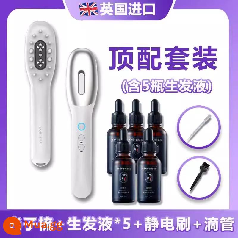 Hongguangjian Lược Tinh Chất Bôi Da Đầu Giới thiệu Lược Massage Tăng Trưởng Tóc Lược Microcurrent Tần Số Vô Tuyến Thiết Bị Tăng Trưởng Tóc - Lược chăm sóc tóc Photon Meridian (Phiên bản cao cấp) + Serum mọc tóc_5 [Mọc tóc rụng tóc nghiêm trọng]~~ Bảo hành 5 năm