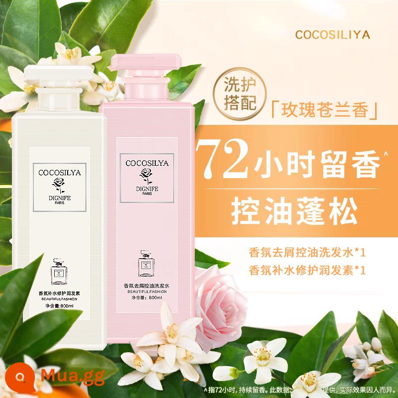 Sữa tắm COCO sữa tắm nữ thơm lâu ngoài bọ ve chính hãng hàng chính hãng dầu gội nước hoa gói dung tích lớn - Dầu xả phục hồi dưỡng ẩm COCO 800ML + Dầu gội trị gàu COCO Oil Control 800ML