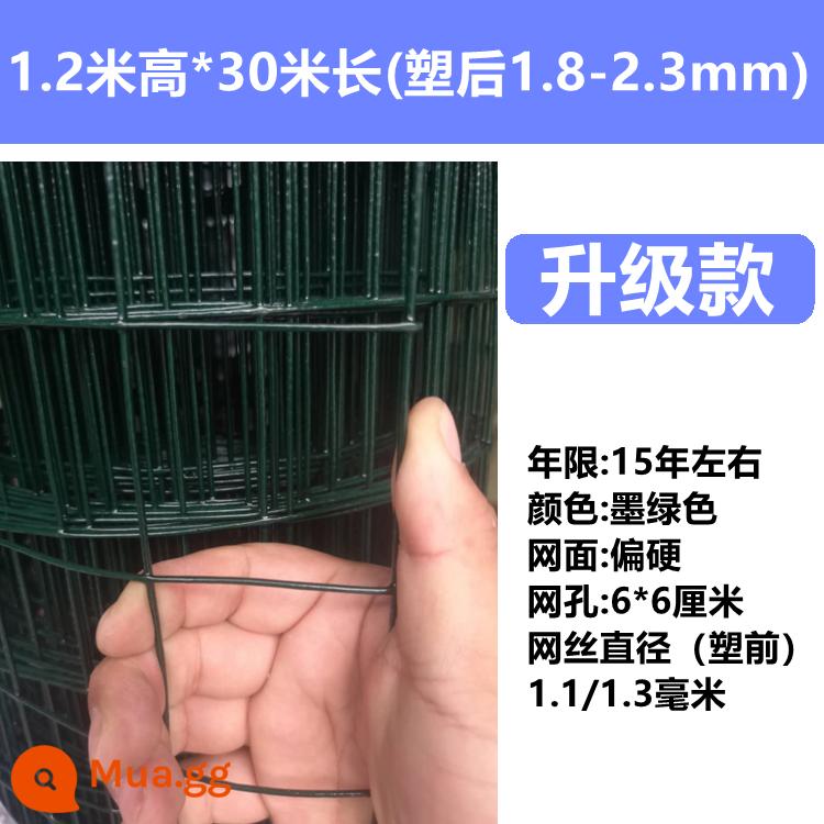 Hàng rào dây thép gai chăn nuôi gà lưới bảo vệ hàng rào lan can ngoài trời dây thép Hà Lan lưới sắt lưới nhà vườn rau - Màu