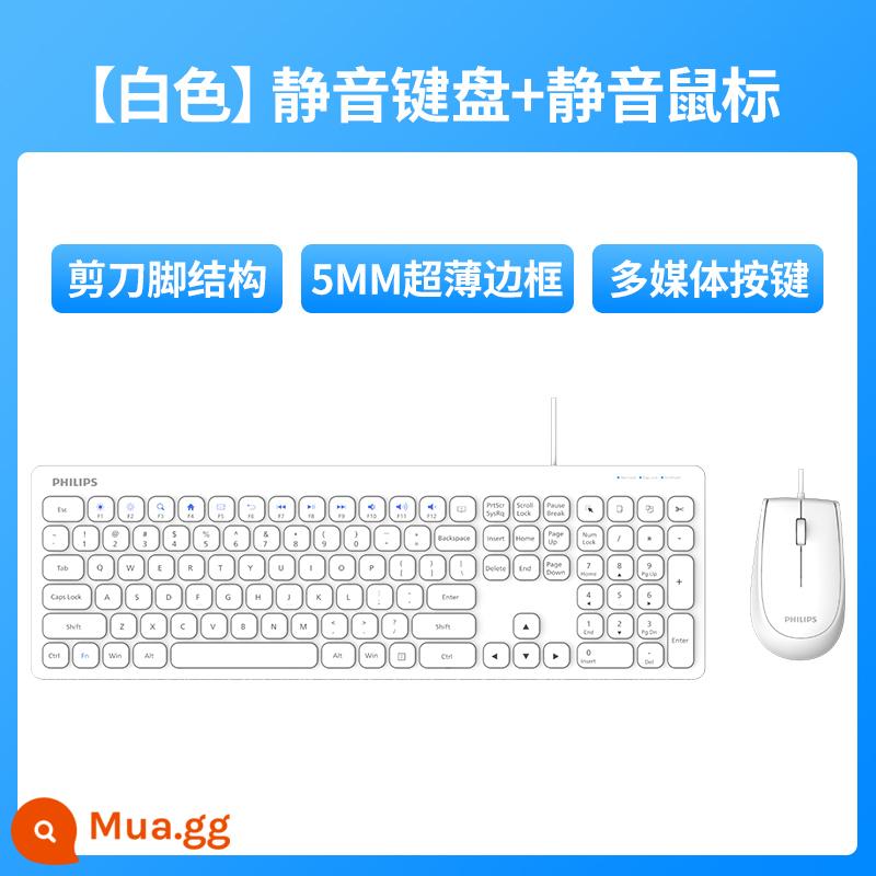 Bàn phím Philips, Bàn phím Bàn phím có dây Cấu trúc chân Chống máy tính xách tay chống lại bàn phím bên ngoài - [Trắng Ngọc Trai] Bộ Bàn Phím Và Chuột Có Dây Im Lặng