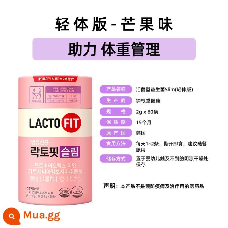 Nước tăng lực thể thao Zhonggentang của Hàn Quốc Probiotic Active Probiotic Lactofit Lactobacillus Bacillus 60 gói - Phiên bản giảm béo - Garcinia Cambogia Sports Nhận hiệu quả gấp đôi chỉ với một nửa công sức [Hương Xoài] Mới 120g