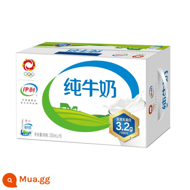 Tháng 12 sản xuất sữa nguyên chất Yili 250ml*16/24 hộp sữa dinh dưỡng ăn sáng dành cho học sinh người lớn giá đặc biệt - [Sản xuất tháng 7] Sữa nguyên chất Yili 250ml*16 hộp