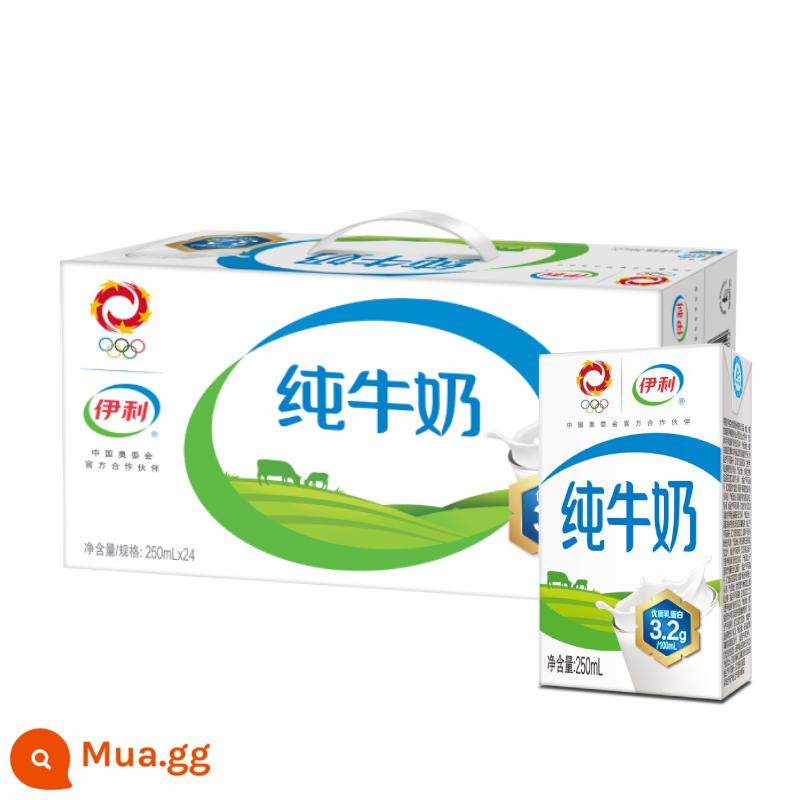 Tháng 12 sản xuất sữa nguyên chất Yili 250ml*16/24 hộp sữa dinh dưỡng ăn sáng dành cho học sinh người lớn giá đặc biệt - [Khuyến mãi sản xuất tháng 5] Sữa nguyên chất Yili 250ml*24 hộp