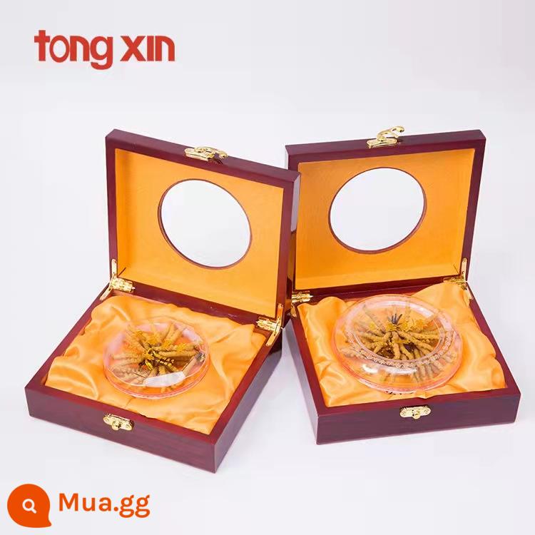 Đông trùng hạ thảo Tây Tạng đích thực hoang dã giai đoạn đầu toàn cỏ hàng khô Đông trùng hạ thảo đích thực nonaqu Hộp quà Đông trùng hạ thảo bị hỏng - Chọn 30 cây đông trùng hạ thảo tặng 3 cây [33 dây trong hộp quà tặng bằng gỗ nguyên khối]