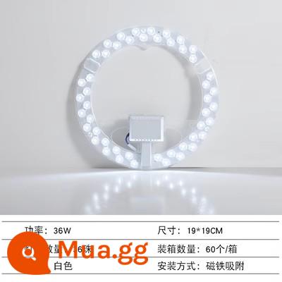 Đèn LED bảng đèn ốp trần bấc phòng khách phòng ngủ LED module nguồn sáng đèn thay thế ống vá nâng cấp sửa đổi bảng - [Ánh sáng trắng tròn sáng] 36w