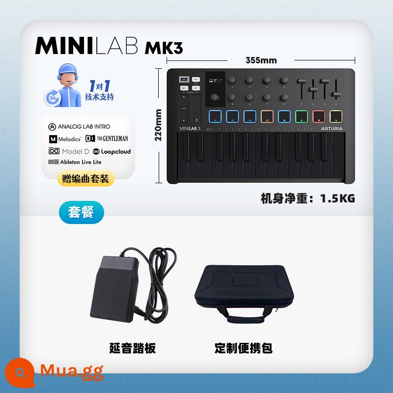 Thương hiệu trực tiếp Arturia MiniLab MK3 Portable Arranger MIDI Keyboard Controller Pad - ⚫ Model màu tối｜MINILAB MK3 màu đen tuyền - bàn đạp + túi đựng cứng + dịch vụ 1 đổi 1 + gói phần mềm sắp xếp