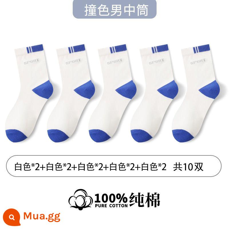 Tất Zhuji nam cotton nguyên chất khử mùi thể thao xuân thu tất dài đến giữa bắp chân nam 100% cotton - [10 đôi] Trắng 10