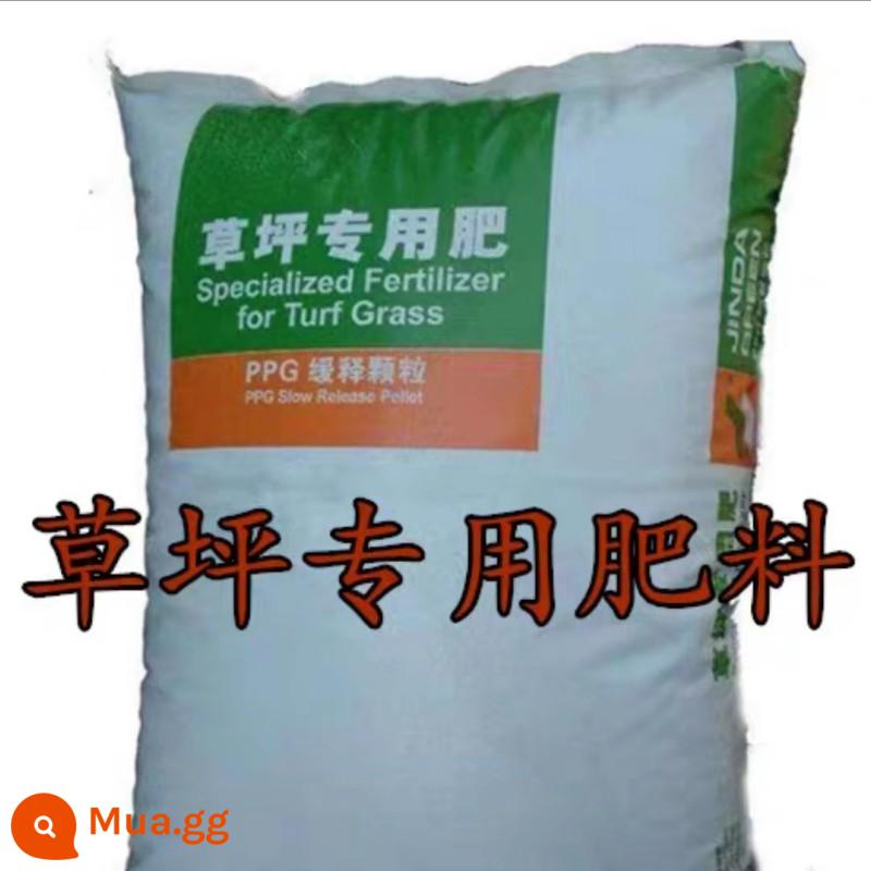 Hạt giống cỏ cỏ không cần cắt tỉa bốn mùa thường xanh bảo vệ mái dốc Bermudagrass Manila thảm cỏ hạt giống sân chịu nhiệt - Gói phân bón đặc biệt dành cho cỏ 3 catties [thúc đẩy sự phát triển của cỏ]