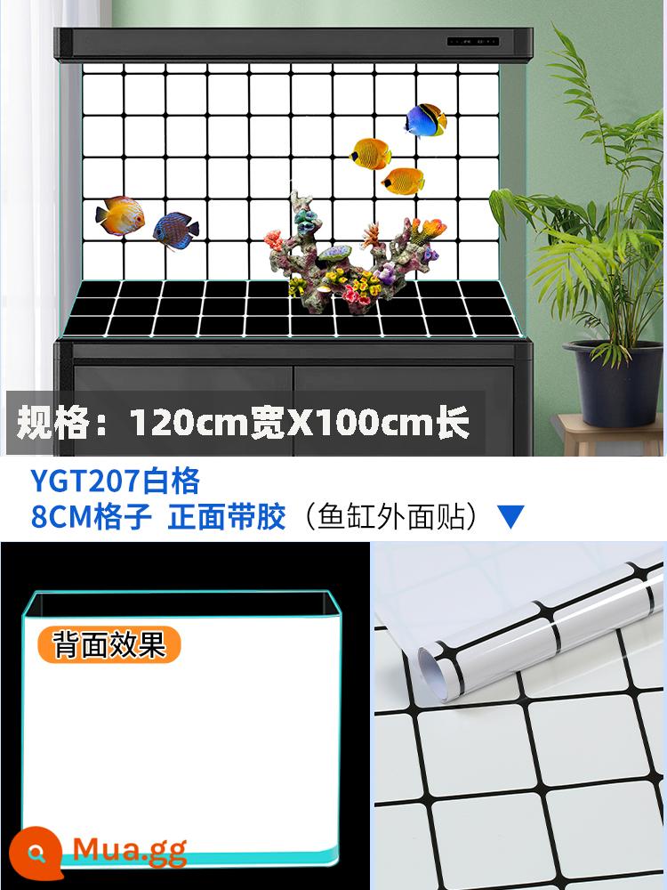Cá Nền Dán Đáy Xe Tăng Tự Dính Đen Nguyên Chất Xanh Trắng Bể Cá HD 3D Kính Xe Tăng Phim - Loại dán mặt trước, lưới trắng, rộng 120cm x dài 100cm