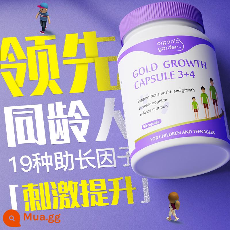 Công nghệ tăng trưởng viên nang tăng trưởng hormone tăng trưởng lysine mới nhập khẩu của OG Aojiyue dành cho thanh thiếu niên và trẻ em bổ sung canxi, sắt và kẽm - Giúp thời kỳ tăng vọt [Mua 3 miếng sẽ tiết kiệm chi phí hơn]