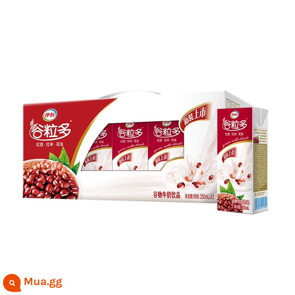 Tháng 11 ngũ cốc Yili mới hơn 250ml*12/12 hộp đậu đỏ, đậu đen, yến mạch, ngũ cốc dinh dưỡng học sinh nguyên hộp - [Hàng mới về tháng 8] Red Valley 250ml*12 hộp