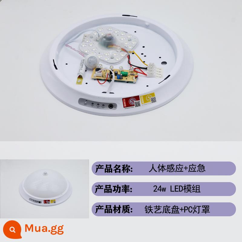 Tiêu Chuẩn Quốc Gia Mới Lửa Khẩn Cấp Đèn LED Âm Trần Cơ Thể Con Người Cảm Ứng Radar Điều Khiển Âm Thanh Cầu Thang Kênh Chiếu Sáng Đèn Cảm Ứng - Mô-đun LED-24w cảm biến khẩn cấp + cơ thể người