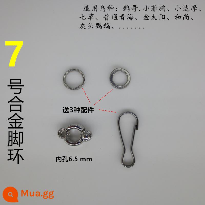 Miệng Khóa Vòng Chân Giá Tiếp Liệu Chim Vẹt Khác Vòng Thép Không Gỉ Da Hổ Da Sáo Hoa Mẫu Đơn Huyền Phong Trạm - Vòng chân cá nhân cỡ 7